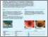 [thumbnail of Retrospektive Analyse der fäkalen Mikrobiotatransfers.pdf]
